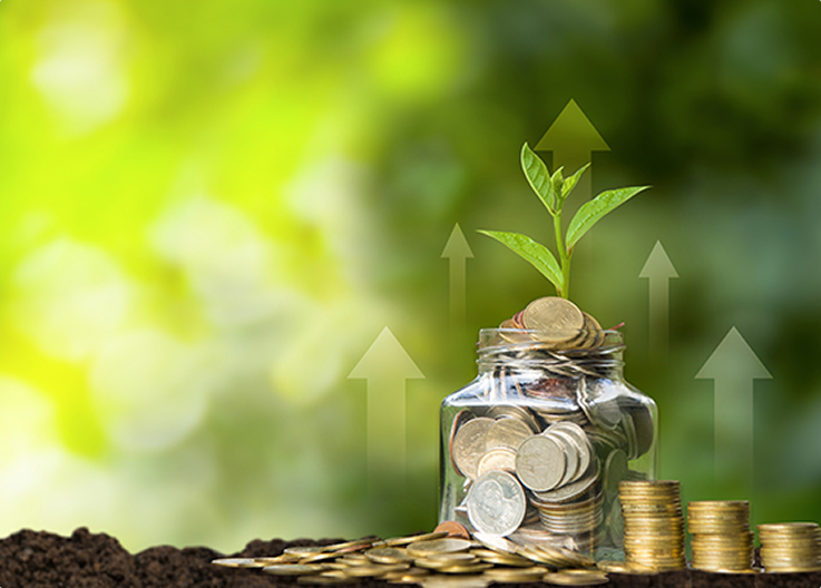 Un bocal en verre rempli de pièces de monnaie avec une plante verte poussant au-dessus, entouré de piles de pièces sur un fond flou vert.