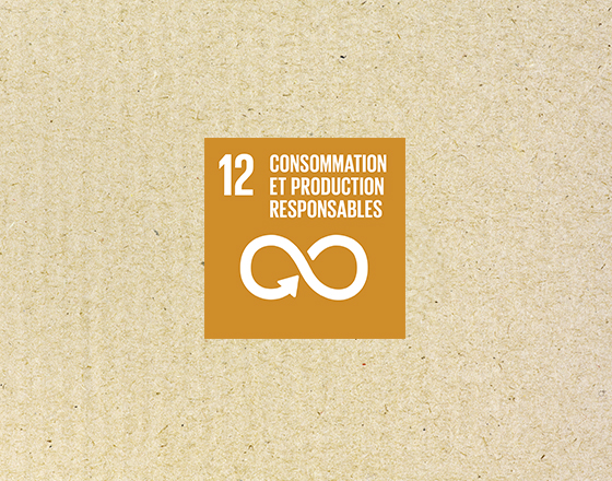 Icône marron du développement durable avec le symbole de l'infini et le texte "Consommation et production responsables" sur fond beige.