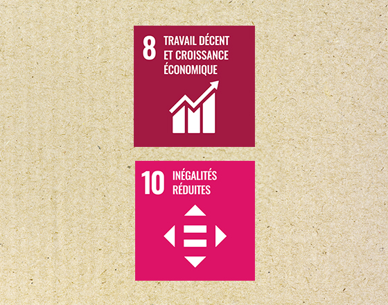 Deux icônes rouges affichent les objectifs "Travail décent et croissance économique" et "Inégalités réduites" sur un fond beige.
