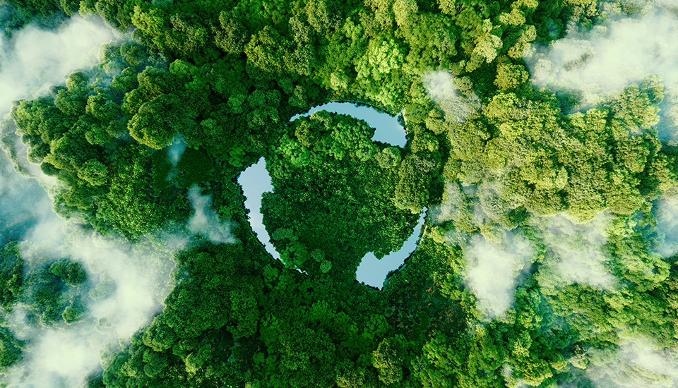 Vue aérienne d'une forêt dense avec des arbres verts entourant des plans d'eau, partiellement couverts de nuages blancs dispersés.
